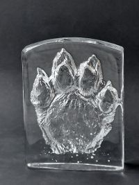 Tiikerintassu, Tiger paw
